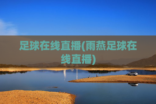 足球在线直播(雨燕足球在线直播)