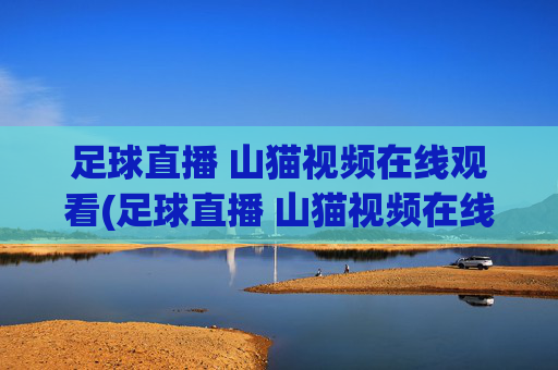 足球直播 山猫视频在线观看(足球直播 山猫视频在线观看免费)