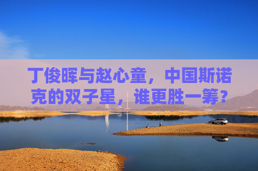 丁俊晖与赵心童,中国斯诺克的双子星,谁更胜一筹?中国斯诺克双子星丁俊晖与赵心童,谁更胜一筹?