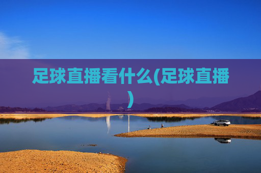足球直播看什么(足球直播)