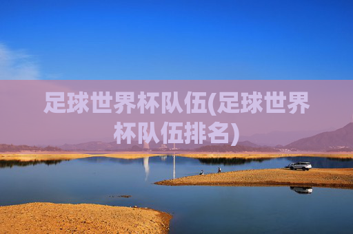 足球世界杯队伍(足球世界杯队伍排名)