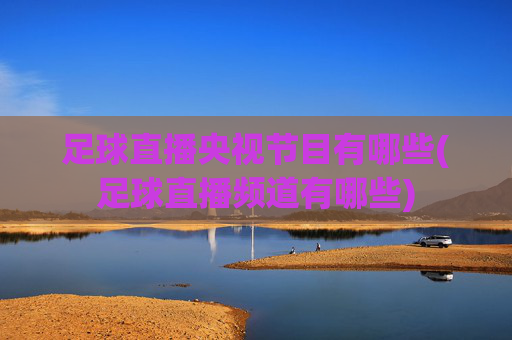 足球直播央视节目有哪些(足球直播频道有哪些)