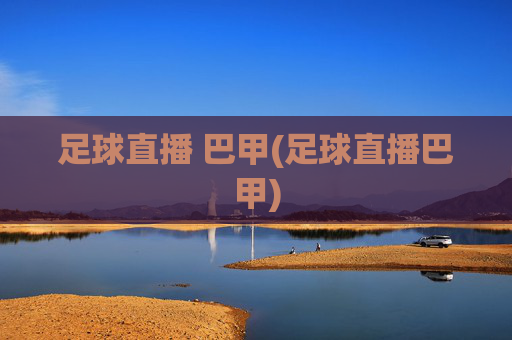 足球直播 巴甲(足球直播巴甲)