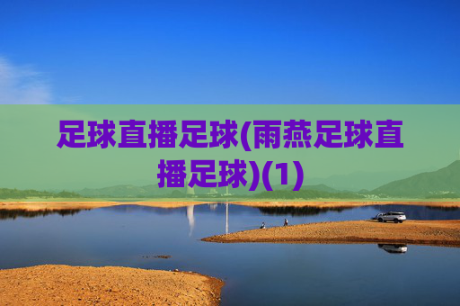 足球直播足球(雨燕足球直播足球)(1)