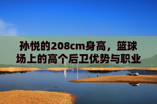孙悦的208cm身高,篮球场上的高个后卫优势与职业印记