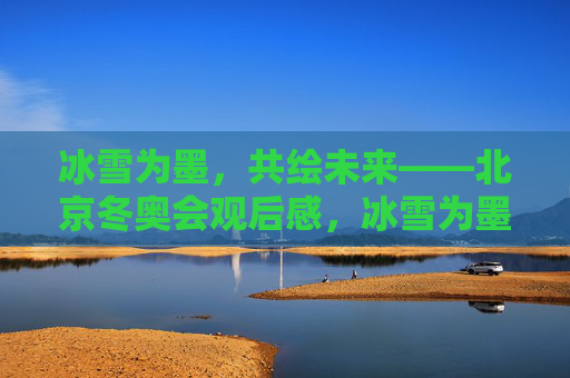 冰雪为墨，共绘未来——北京冬奥会观后感，冰雪为墨，共绘未来