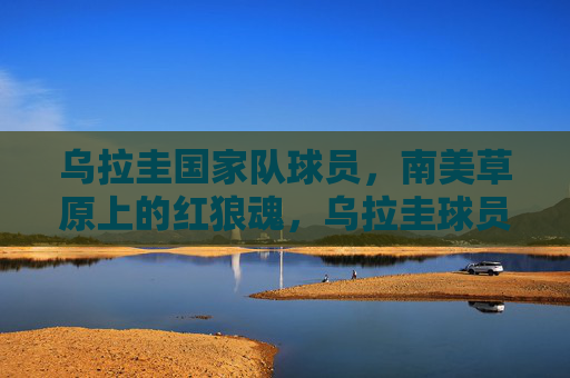 乌拉圭国家队球员，南美草原上的红狼魂，乌拉圭球员，南美草原上的红狼魂