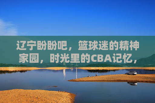辽宁盼盼吧，篮球迷的精神家园，时光里的CBA记忆，辽宁盼盼吧，篮球迷的精神家园与CBA记忆