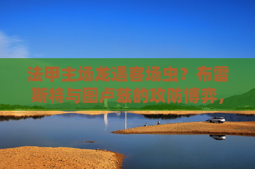 法甲主场龙遇客场虫？布雷斯特与图卢兹的攻防博弈，法甲主场龙VS客场虫，布雷斯特与图卢兹攻防博弈