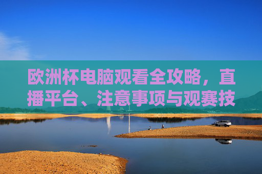 欧洲杯电脑观看全攻略，直播平台、注意事项与观赛技巧，欧洲杯电脑观看全攻略，直播平台、注意事项与观赛技巧