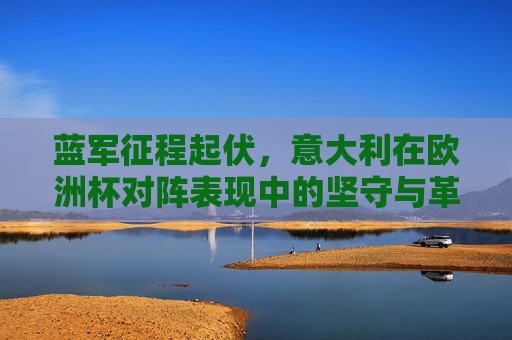 蓝军征程起伏,意大利在欧洲杯对阵表现中的坚守与革新,蓝军欧洲杯征程,起伏中的坚守与革新