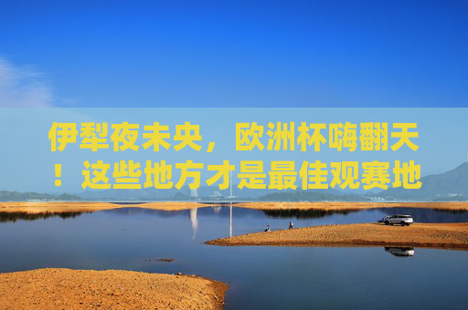 伊犁夜未央，欧洲杯嗨翻天！这些地方才是最佳观赛地，伊犁夜未央，欧洲杯观赛嗨翻天
