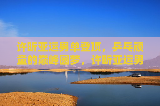 许昕亚运男单登顶，乒乓顽童的巅峰圆梦，许昕亚运男单登顶 乒乓顽童巅峰圆梦