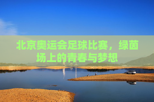 北京奥运会足球比赛,绿茵场上的青春与梦想