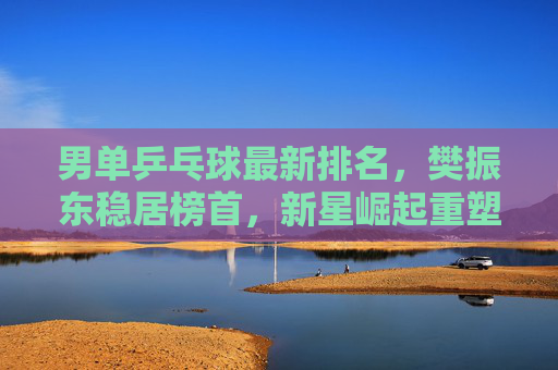 男单乒乓球最新排名，樊振东稳居榜首，新星崛起重塑格局，男单乒坛最新排名，樊振东稳居榜首，新星崛起重塑格局