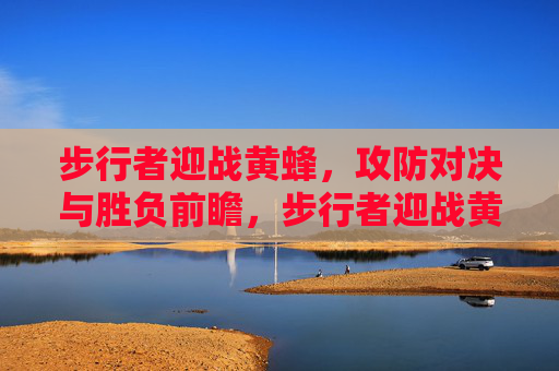 步行者迎战黄蜂,攻防对决与胜负前瞻,步行者迎战黄蜂,攻防对决与胜负前瞻