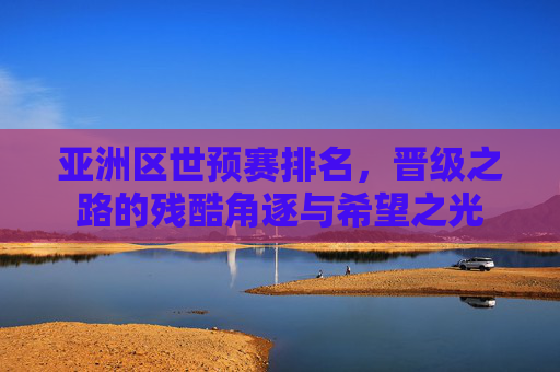 亚洲区世预赛排名,晋级之路的残酷角逐与希望之光