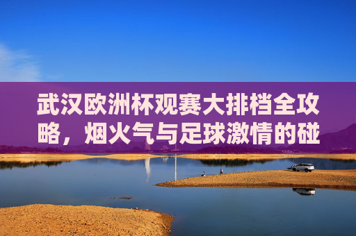 武汉欧洲杯观赛大排档全攻略,烟火气与足球激情的碰撞,烟火气撞足球激情,武汉欧洲杯观赛大排档全攻略