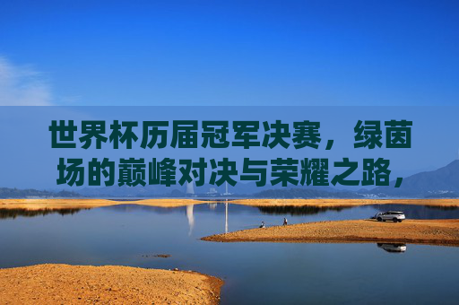 世界杯历届冠军决赛，绿茵场的巅峰对决与荣耀之路，绿茵巅峰对决，世界杯冠军的荣耀之路