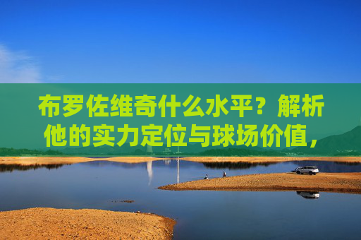 布罗佐维奇什么水平？解析他的实力定位与球场价值，布罗佐维奇水平，实力定位与球场价值解析