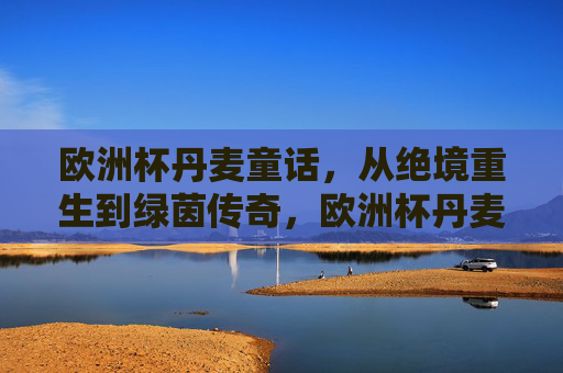 欧洲杯丹麦童话，从绝境重生到绿茵传奇，欧洲杯丹麦童话，绝境重生的绿茵传奇