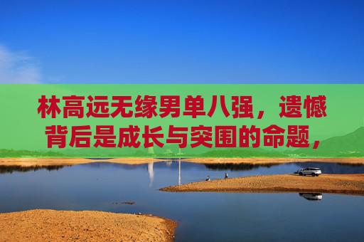 林高远无缘男单八强,遗憾背后是成长与突围的命题,林高远无缘男单八强,遗憾背后的成长与突围命题
