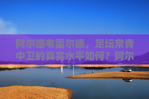 阿尔德韦雷尔德,足坛常青中卫的真实水平如何?阿尔德韦雷尔德,足坛常青中卫的真实水平如何?