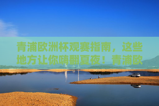 青浦欧洲杯观赛指南，这些地方让你嗨翻夏夜！青浦欧洲杯观赛指南，嗨翻夏夜的观赛胜地