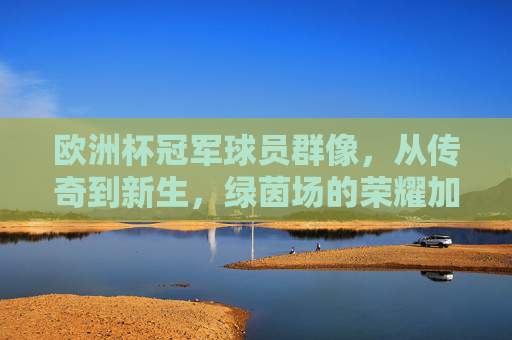 欧洲杯冠军球员群像，从传奇到新生，绿茵场的荣耀加冕，欧洲杯冠军群像，从传奇到新生的荣耀加冕