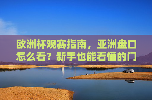 欧洲杯观赛指南，亚洲盘口怎么看？新手也能看懂的门道，欧洲杯观赛指南，亚洲盘口新手看门道