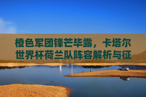 橙色军团锋芒毕露，卡塔尔世界杯荷兰队阵容解析与征程回顾，橙色军团锋芒毕露，卡塔尔世界杯荷兰队阵容解析与征程回顾