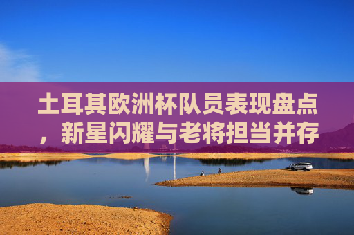 土耳其欧洲杯队员表现盘点,新星闪耀与老将担当并存,土耳其欧洲杯队员表现盘点,新星闪耀与老将担当并存