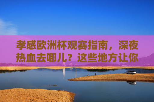 孝感欧洲杯观赛指南，深夜热血去哪儿？这些地方让你与足球狂欢，孝感欧洲杯观赛指南，深夜热血狂欢地