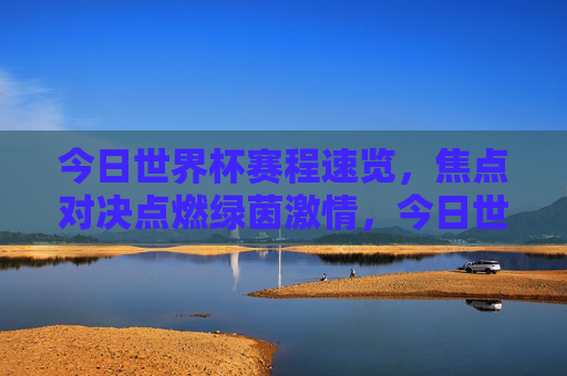 今日世界杯赛程速览,焦点对决点燃绿茵激情,今日世界杯赛程速览,焦点对决点燃绿茵激情