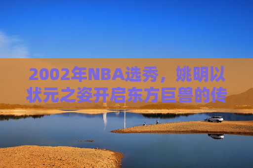 2002年NBA选秀，姚明以状元之姿开启东方巨兽的传奇之旅，2002姚明状元秀开启东方巨兽传奇之旅