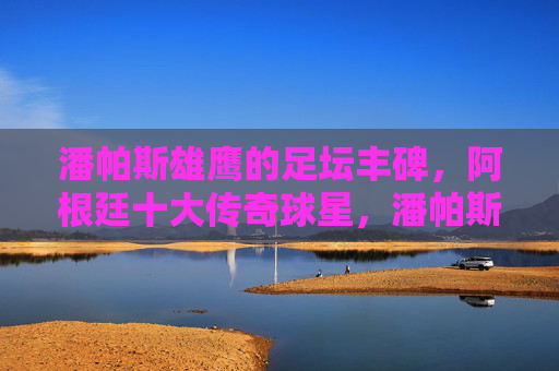 潘帕斯雄鹰的足坛丰碑,阿根廷十大传奇球星,潘帕斯雄鹰的足坛丰碑,阿根廷十大传奇球星