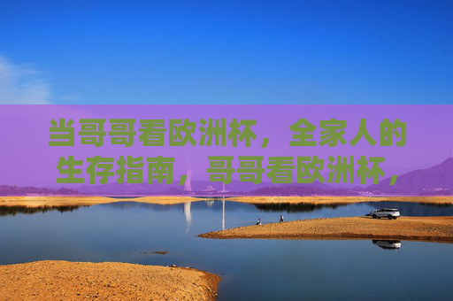 当哥哥看欧洲杯，全家人的生存指南，哥哥看欧洲杯，全家人的保命指南
