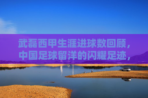 武磊西甲生涯进球数回顾,中国足球留洋的闪耀足迹,武磊西甲进球,中国足球留洋的闪耀足迹