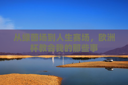 从绿茵场到人生赛场,欧洲杯教会我的那些事