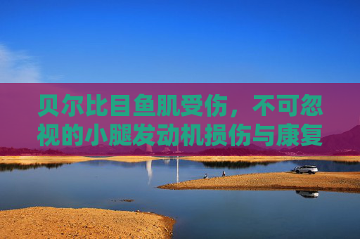贝尔比目鱼肌受伤,不可忽视的小腿发动机损伤与康复全攻略,贝尔比目鱼肌受伤,小腿发动机损伤的康复全攻略