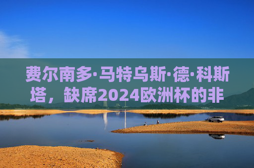 费尔南多·马特乌斯·德·科斯塔,缺席2024欧洲杯的非典型答案,费尔南多·马特乌斯·德·科斯塔,缺席2024欧洲杯的非典型答案