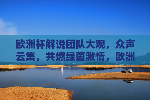欧洲杯解说团队大观，众声云集，共燃绿茵激情，欧洲杯解说众声云集，共燃绿茵激情