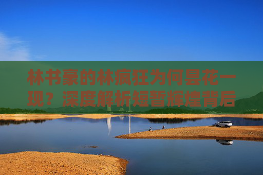 林书豪的林疯狂为何昙花一现?深度解析短暂辉煌背后的多重因素,林疯狂昙花一现,短暂辉煌背后的多重因素