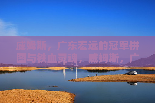 威姆斯,广东宏远的冠军拼图与铁血灵魂,威姆斯,广东宏远的冠军拼图与铁血灵魂
