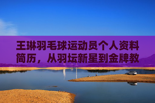 王琳羽毛球运动员个人资料简历，从羽坛新星到金牌教练的蜕变之路，王琳，从羽坛新星到金牌教练的蜕变之路