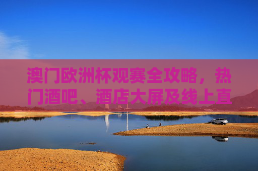 澳门欧洲杯观赛全攻略，热门酒吧、酒店大屏及线上直播指南