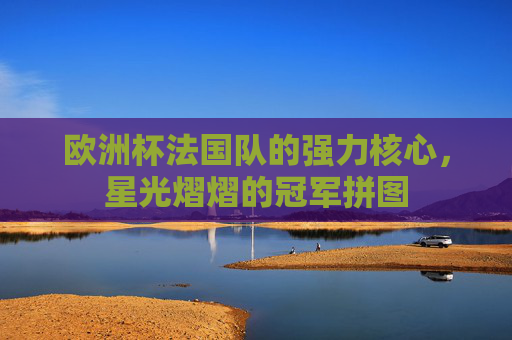 欧洲杯法国队的强力核心,星光熠熠的冠军拼图