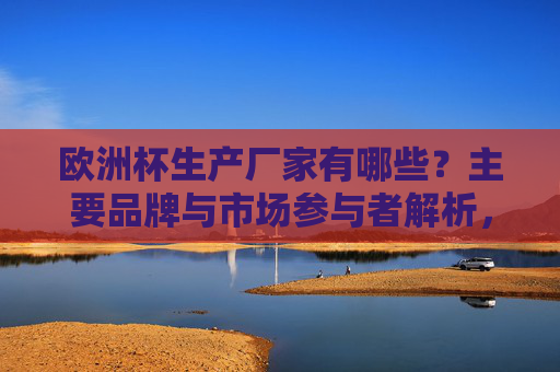 欧洲杯生产厂家有哪些?主要品牌与市场参与者解析,欧洲杯生产厂家主要品牌与市场参与者解析