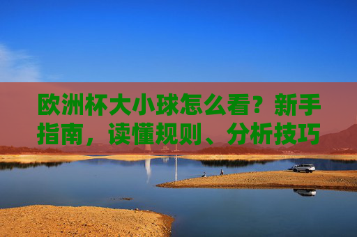欧洲杯大小球怎么看?新手指南,读懂规则、分析技巧与理性投注