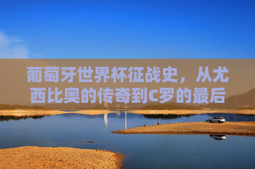 葡萄牙世界杯征战史，从尤西比奥的传奇到C罗的最后一舞，葡萄牙世界杯征程，从尤西比奥传奇到C罗最后一舞